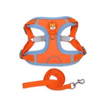 홈리미엄 웰시코기 닥스훈트 전용 하네스 XL + 리드줄 세트, 오렌지, 1세트
