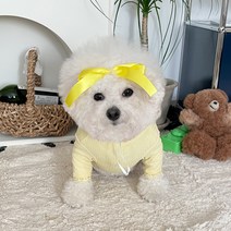 바이담수미 강아지 퐁퐁 레이스 올인원, 옐로우