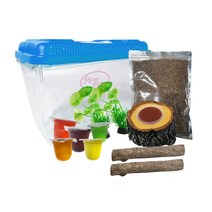 로라펫 곤충 키우기 세트 L, 랜덤발송, 1세트