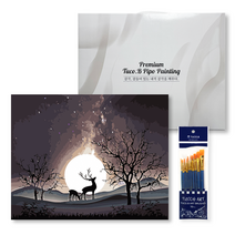 투코비 DIY 명화그리기 프리미엄 세트 가로형 40 x 50 cm, 사슴의 꿈 P5326