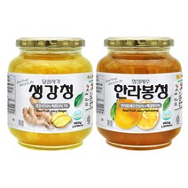 견과공장 프리미엄 생강청 950g + 한라봉청 950g, 1세트