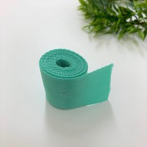 나일론 웨이빙 끈 32mm x 450cm, 민트, 1개