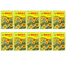SN월드 청농꽃씨 해바라기, 10개