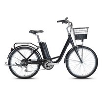 이알톤 스포츠 벤조 24 파스 스로틀 6.7Ah 일반셀 전기자전거, 매트 블랙, 알루미늄(알로이)