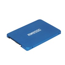 리뷰안 900G 비즈 SATA SSD, 256GB, 리뷰안 900G비즈 256GB