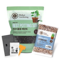 월드가드닝 관엽식물용 배양토 분갈이 4종 세트, 1세트