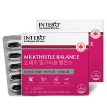 인테로 밀크씨슬 밸런스 90g, 90정, 2개