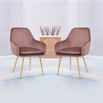 노아가구 루비 골드 체어 2p, 핑크