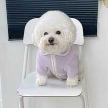 바이담수미 강아지 파스텔 카라 후리스, 퍼플