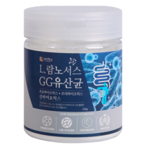 건강중심 L 람노서스GG 유산균, 250g, 1개