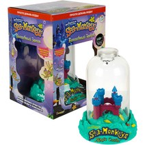 씨몽키 키우기 매직 캐슬, 1개