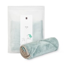 생활공작소 펫 타올 1개, 민트(타올), 랜덤발송(패키지)