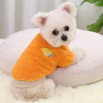 새코밍 반려견 후리스, 오렌지