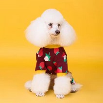 마켓에이 딸기 패턴 강아지옷, 레드