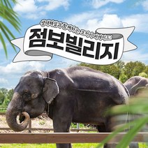 점보빌리지 입장권 (입장+퍼레이드+생태해설)