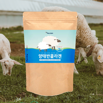 에너day 양태반콜라겐100g 호주산 양태반분말 함유