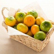 (초록자연) 노지 새코미 감귤 5kg (특대과) 고당도, 상세페이지 참조, 상세페이지 참조