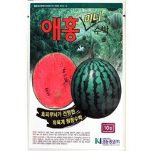 애홍미니수박 10립 수박씨앗 애플수박씨앗 흑피수박씨앗 참외씨앗 멜론씨앗 권농종묘 23년