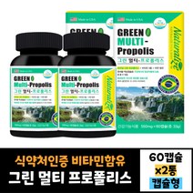 2박스 묶음 식약처인증 그린프로폴리스 비타민 아연 그린멀티 프로폴리스 60캡슐 효과 효능 먹는법 30대 40대 50대 60대 남자 여자