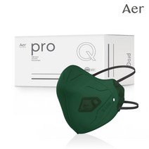 아에르 Pro Q300S (프로 큐) 특급 방진마스크 1BOX (10개입) / 산업용 공사현장 분진 석면 해체 작업용, 아에르 PRO Q300S 특급 방진 (그린), 1개, 10개입