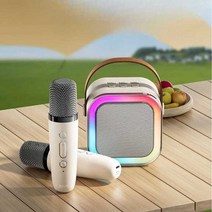 가정용 기계 노래방 블루투스 차량용 마이크 이동식, 핑크-듀얼마이크
