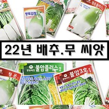 22년 김장 배추.무 씨앗 종묘 모음집 - 불암3호 불암플러스 항암배추 베타카로틴 함유 가을무 가을배추 텃밭 비료 주말농장 청운무 황토골드무 김장무 배추 초롱무 소형무 알타리무, 08. 진농통큰베타배추550립(항암배추)