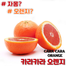 [바농프레시] 고당도 레드 카라카라 오렌지, 10과, 1개