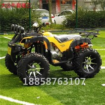 해변 자동차 4륜 오프로드 4륜 구동 오토바이 전기 ATV, 샤프트드라이브빅불150cc패키지3