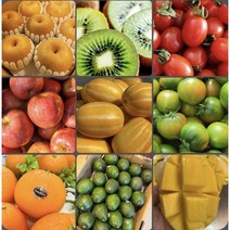 1인가구 혼합과일 과일정기배송 과일구독 소량과일 제철과일 자취생과일, 1~2인용