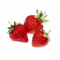 허브야 닷컴 딸기 플레이버오일(식향) 비누 립밤사용가능 10ml, 100ml