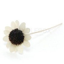 해바라기 스틱1개, 해바라기 스틱(1개)