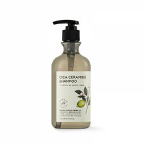 정직한실험실 시카 세라마이드 샴푸 285ml, 단품