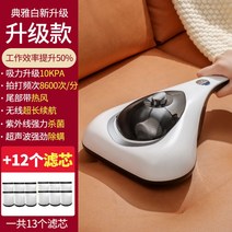 휴대용 무선 침구 청소기 침대 살균기 습식 집먼지진드기 진드기 매트릭스 침구 쇼파 이불, 고급형+필터13개