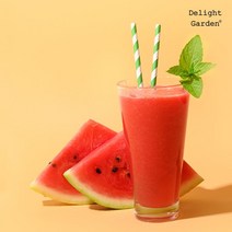 딜라잇가든 HPP 100% 수박주스 1kg, 단품없음