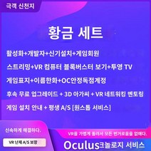 VR 게임 생생함 고효율 실제같은 VR게임 VR패드 실감 별빛스토어 oculus quest2 활성화 업데이트 개발자 VR 라우터 프리 링크 스트림 캐스트 스마트 게임, 골드 패키지
