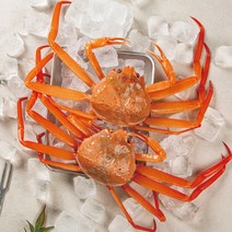 포항 구룡포 선주직송 국산 박달 홍게 2kg, 찜고급형 홍게 2kg