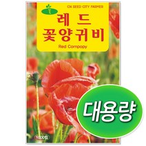 레드 양귀비 50g 대용량 꽃씨