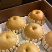 23년 수확 햇 나주배 선물세트 GAP인증 고당도 신고배, 가정용 5kg(8~10과)