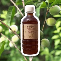 담촌 개복숭아 수제 발효액 500 900ml 돌복숭아 산복숭아 엑기스 청 / 효소x, 1병, 500ml