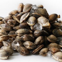 해감 필요없는 바지락 5kg