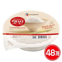 CJ 햇반 210g 48개 / 즉석밥, B 상품선택:01_CJ햇반210g 48개