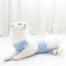 고양이중성화옷 중성화복 강아지 환견복 중성화수술 환자복 암컷 수컷 수술복 3가지 색상, 보라