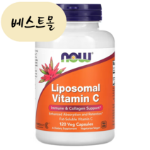[해외] 리포조말 비타민C 리포솜 나우푸드 리포좀 비타민씨 베스트몰 미국직구, 1개