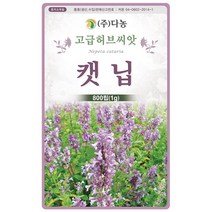 딜 1g - 허브 허브씨 허브씨앗 씨 씨앗 딜씨앗 딜씨 꽃씨 꽃씨앗 허브꽃 Dill, 18_다농_캣닙(1g)