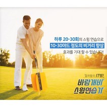 SBD_드라이버스윙궤도 골프연습기 실내연습장채비거리스틱 아이언 손목고정 가정용 실외 연습채 연습봉 바람개비 스윙기 골프채_sbd, SBD☆바람개비 골프스윙연습기
