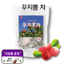 꾸지뽕 차 국내산 100 삼각 티백 대용량 알 약 케이스 증정 잎 추출물 나무 티 100개 대용량