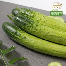 [삼촌농장] 수분 가득 백다다기 오이(특품) 3kg, 단품