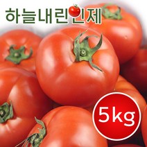강원도 인제 토마토 5kg, 1박스