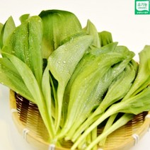 생명이나물 강원도 봄나물 잎명이 세발나물 부지깽이 산나물 참나물 생채명이나물 명이나물 제철나물 1kg