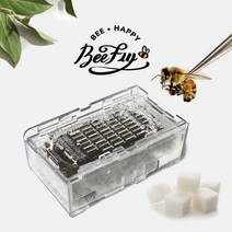 비플라이 건강한 꿀벌 벌침 벌침벌 봉침 봉침벌 벌침용벌 먹이 서비스, 150~180마리